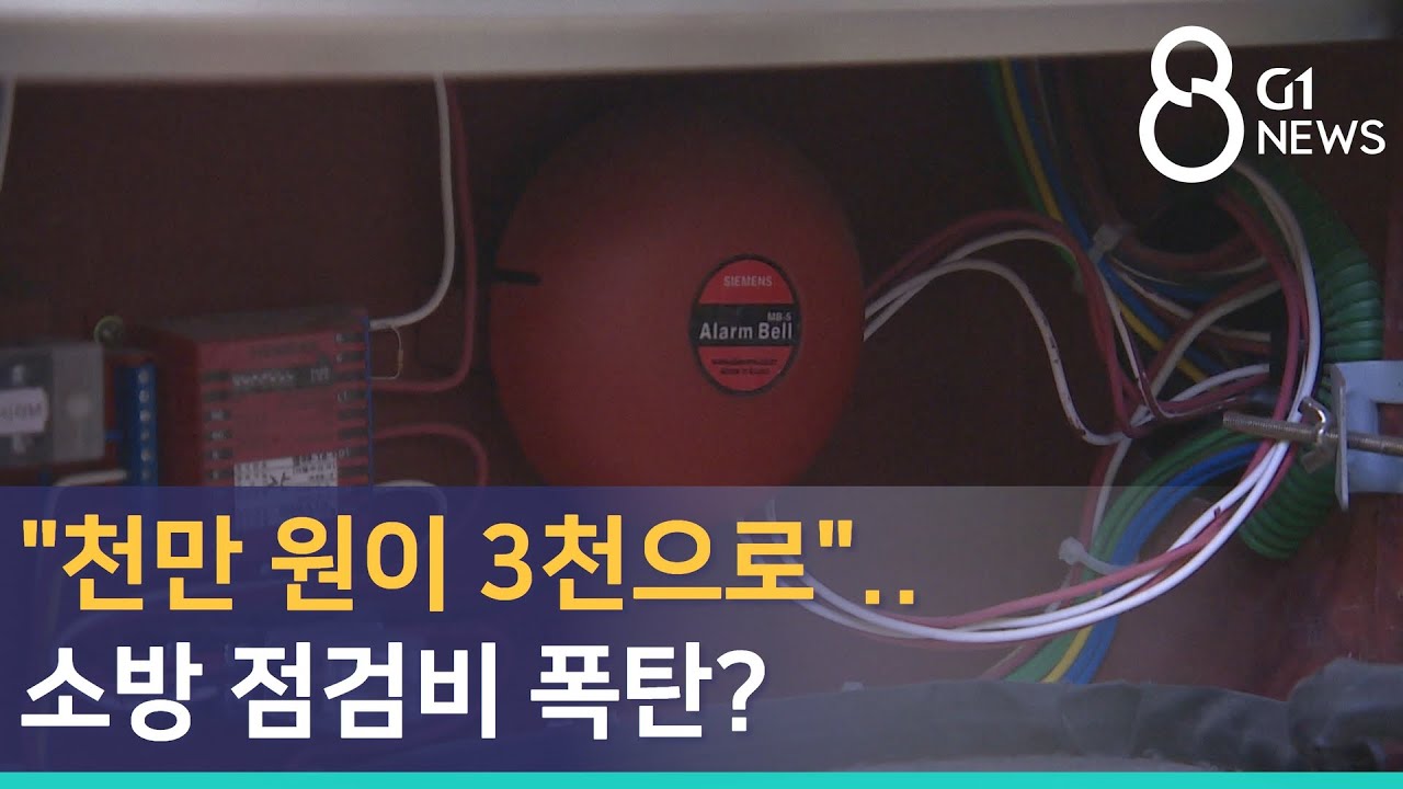 [G1뉴스]