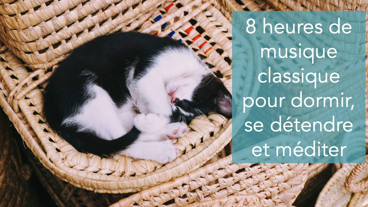 ♫ Belle musique de piano de 8 heures pour dormir, se détendre et méditer ♫