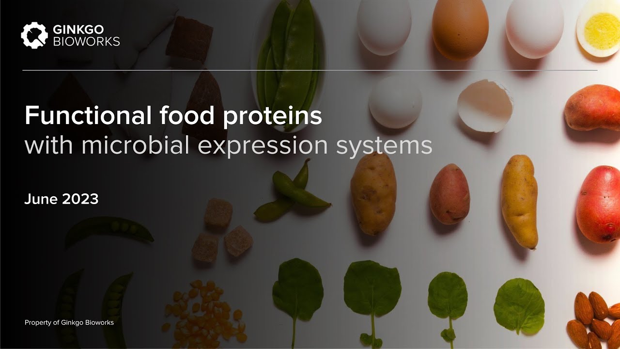 Functional Food Proteins with Microbial Expression Systems - Virtual Event