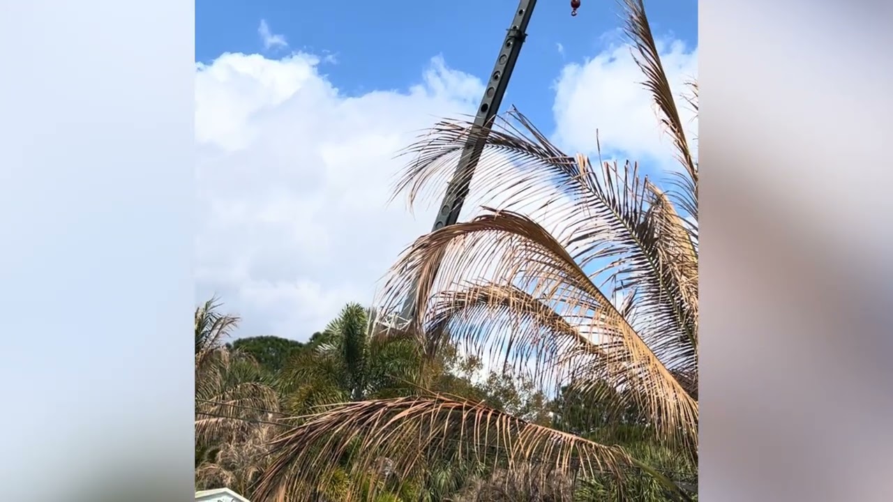 2/16/26 Hauling a huge shed