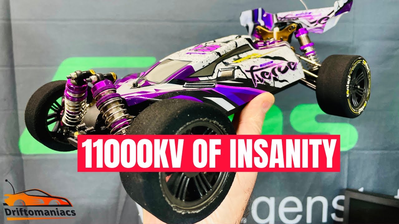 Worlds Fastest WLTOYS 124019 Project 120 #RCINSANITY