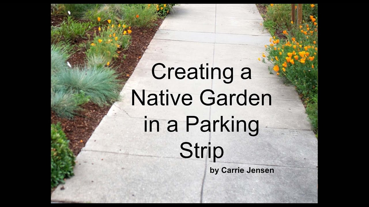How I Did It: Creating a Native Parking Strip Garden