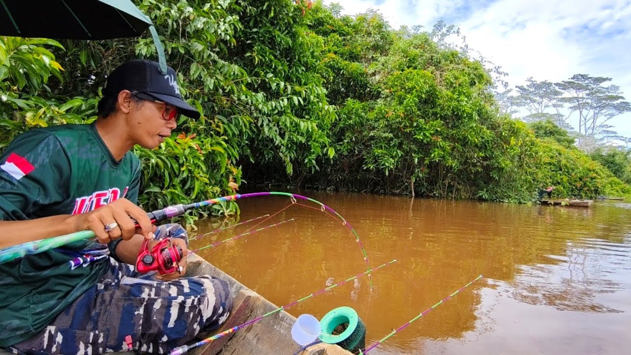 Air dingin pasang besar, Tapi udang nya sangat rakus sekali