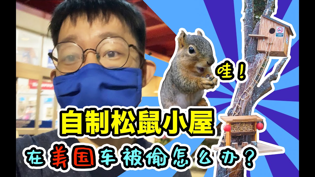 Vlog.005 自制豪华松鼠小屋 |因为这个车居然还被偷了！在美国被偷车怎么办？