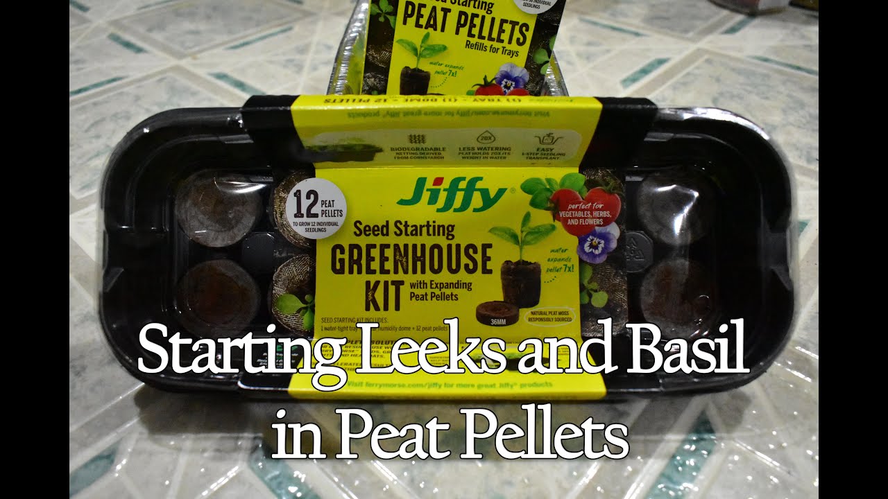 Starting Seeds in Peat Pellets for Beginners