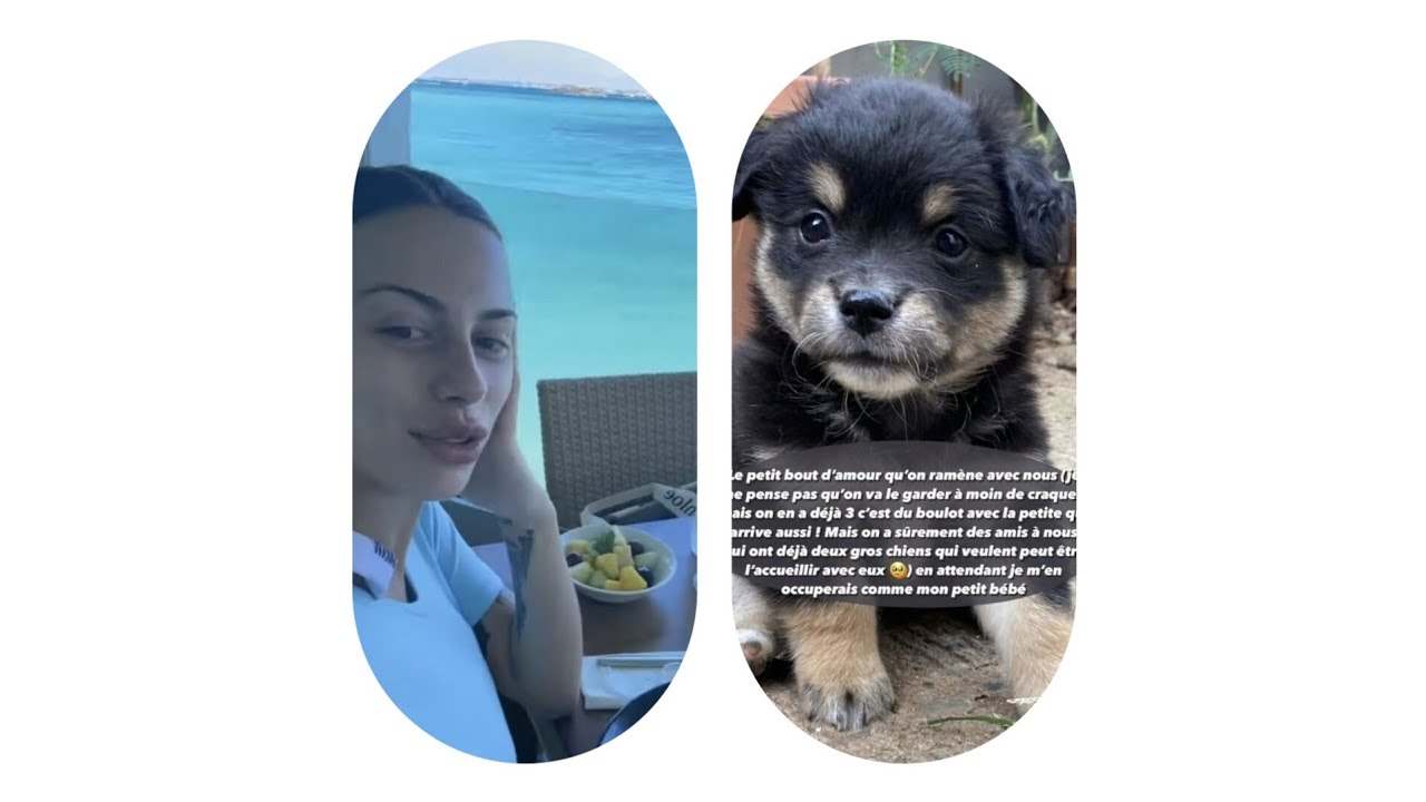 Giuseppa et Paga repartent de vacances avec un chien 🐕 🥰