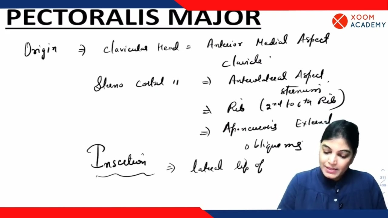 Muscles of Pectoral Region - Human Anatomy Lecture - Xoom Academy
