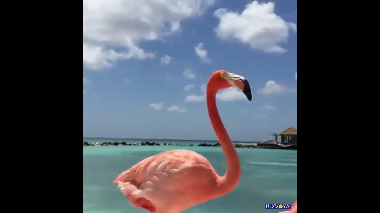 Fill Your Life With Experiences, Not Things