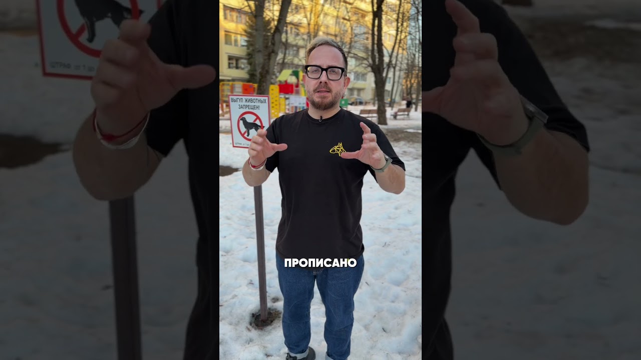 В Минске с 1 июля вводится обязательный налог на собак, будут начислять по факту проживания питомца