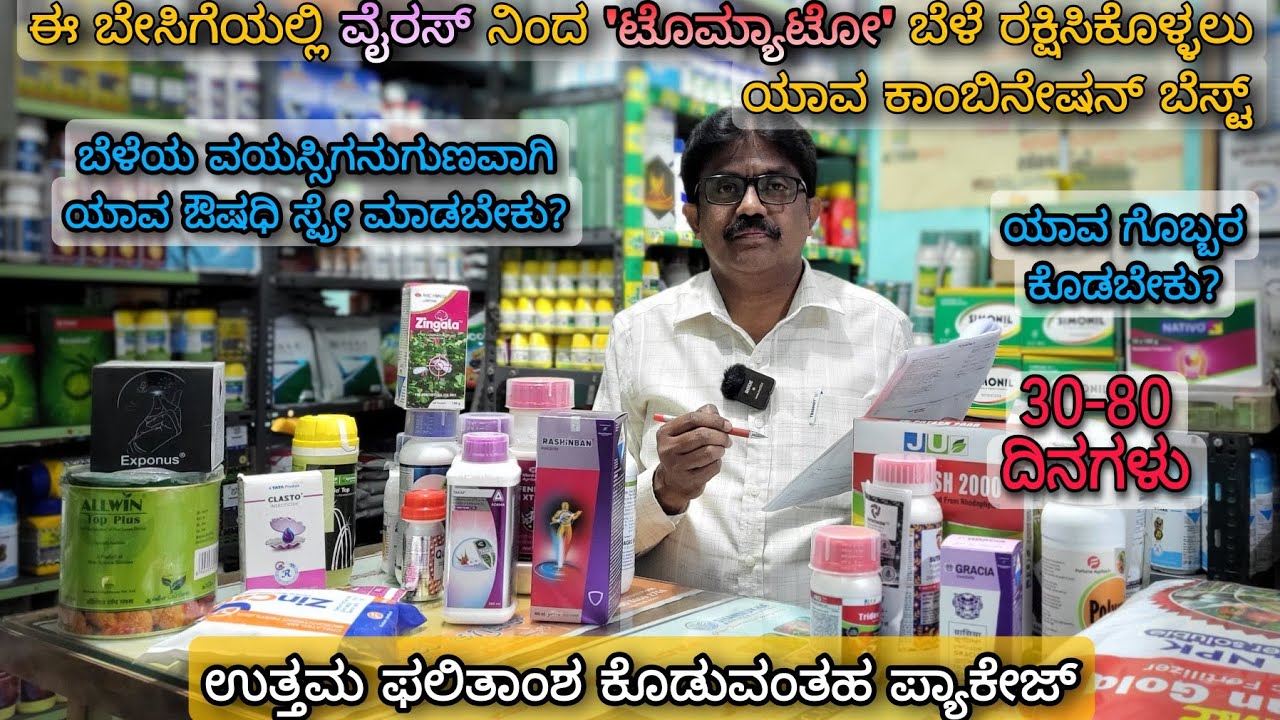 30-80 ದಿನಗಳ ವರೆಗೆ ಟೊಮ್ಯಾಟೋ ನಿರ್ವಹಣಾ ಕ್ರಮಗಳು | ಸ್ಪ್ರೇ & ಗೊಬ್ಬರ ನಿರ್ವಹಣೆ |