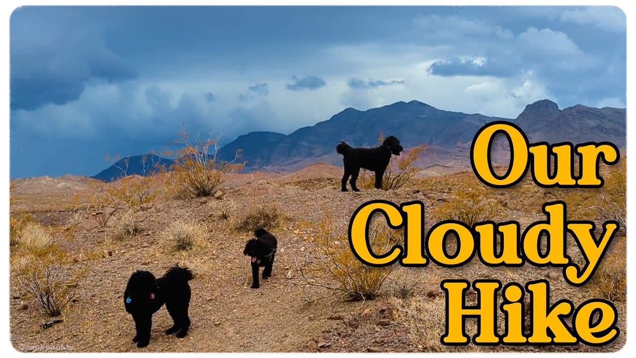 Cloudy Hike with the girls on a local trail