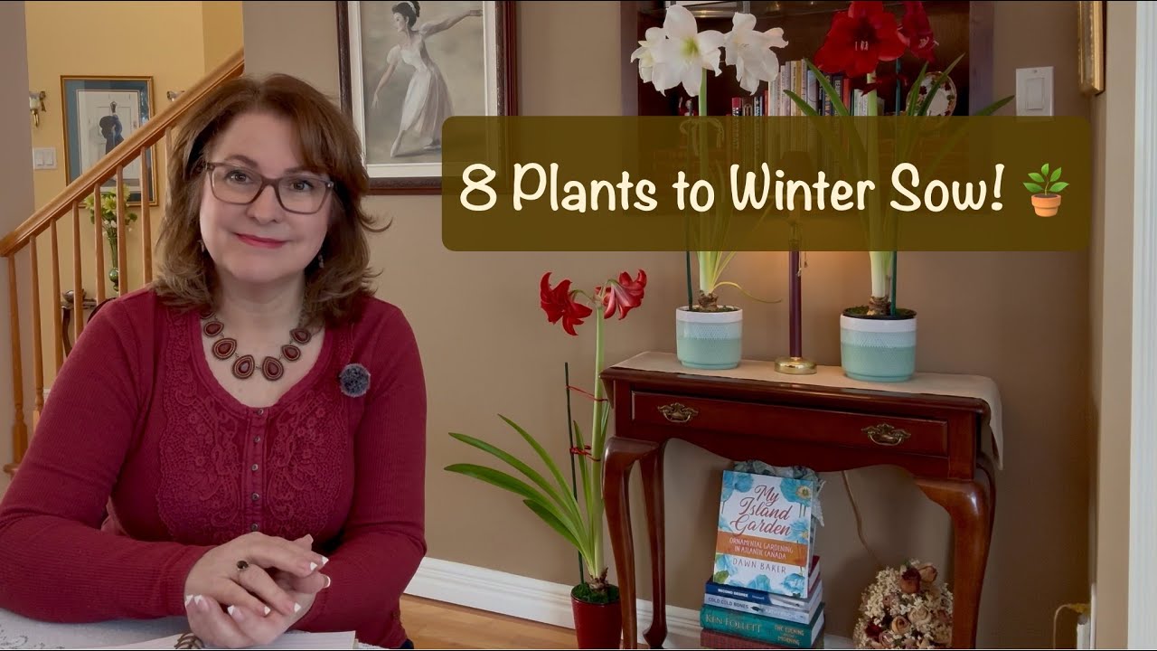 8 Flowering #Plants you can start by #WinterSowing! #Zone5