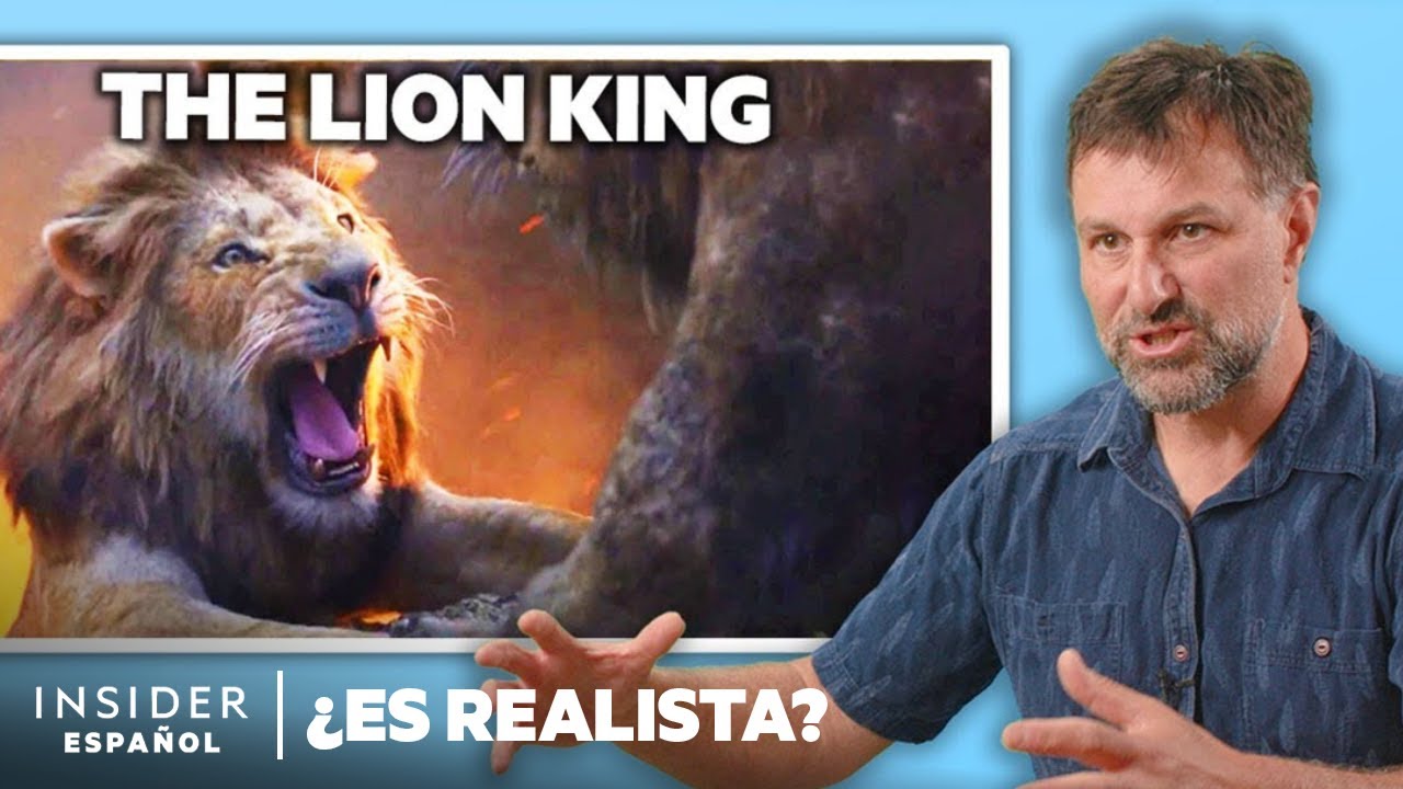 Experto en pumas puntúa 9 ataques de grandes felinos en escenas de películas y TV | Insider
