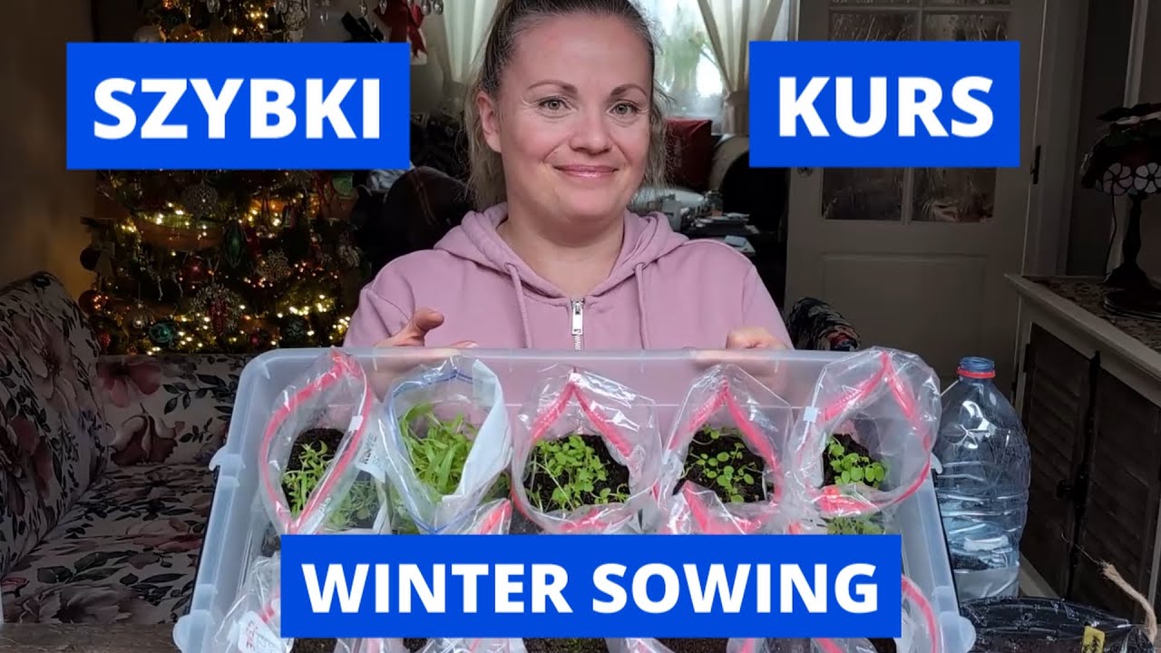 Wysiew zimowy w woreczkach butelkach i doniczkach krok po kroku / MrsGarden