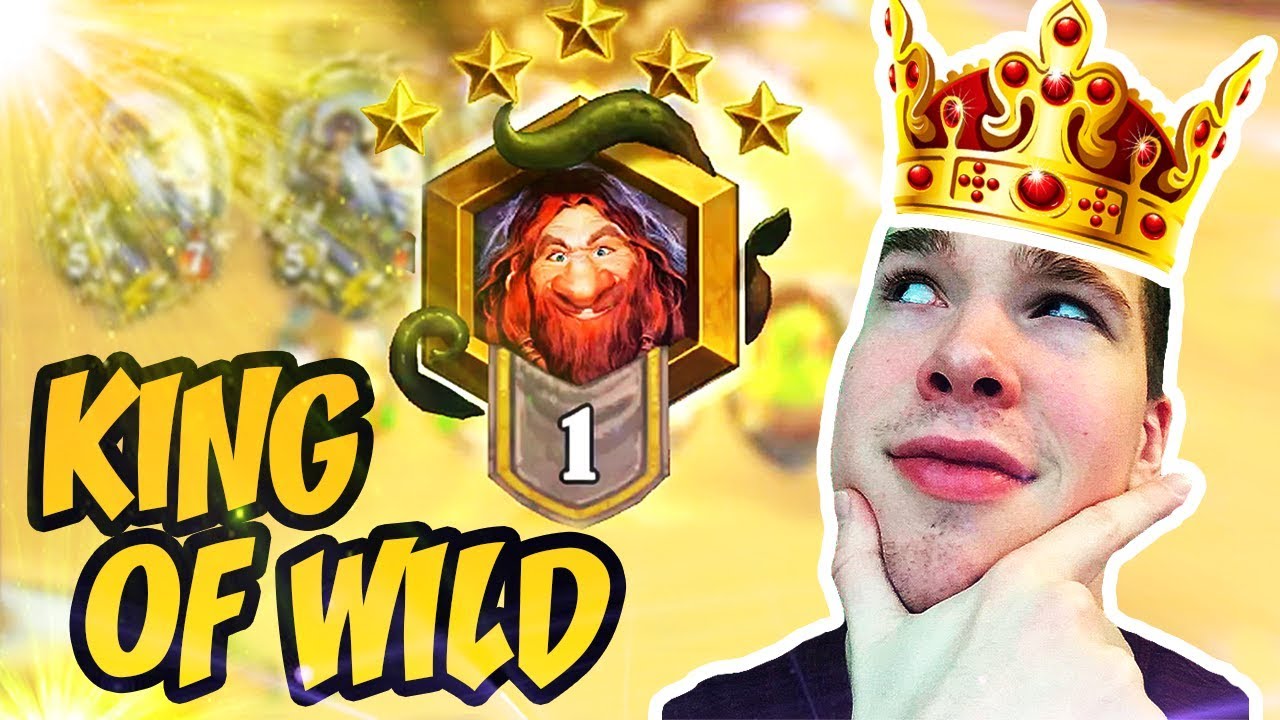 Hearthstone: King Of Wild