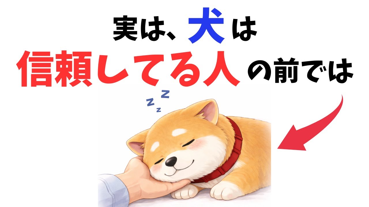 【愛の証】犬が信頼した人にだけ見せる行動 12選