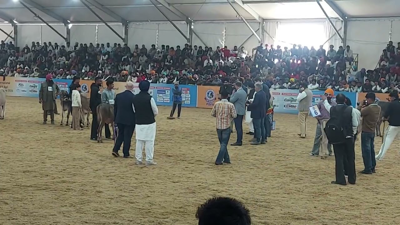 Pdfa 2026