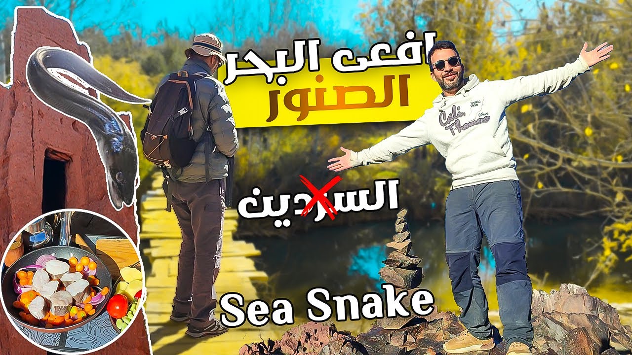 🐍 Catfish Tagine, Wild Scenery and Ocean Flavors 🍲🌾جمال الطبيعة ونكهة البحر..طاجين سمك الصنور 🐟