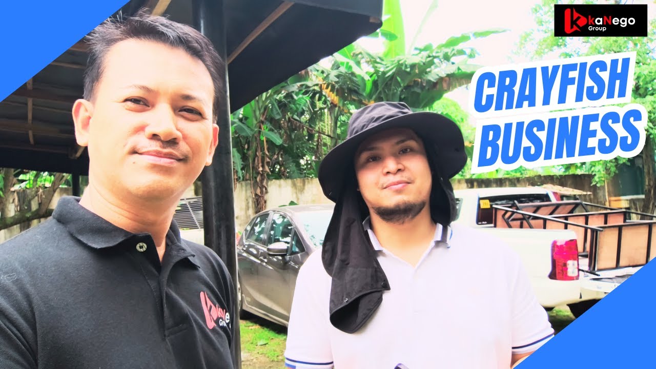 Crayfish Farming Business #crayfish