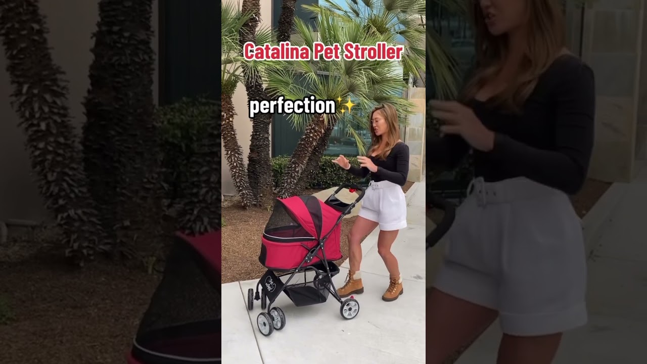 Nothing more perfect than this amazing stroller for dogs, cats, and small animals😻💚 #doglover #cat