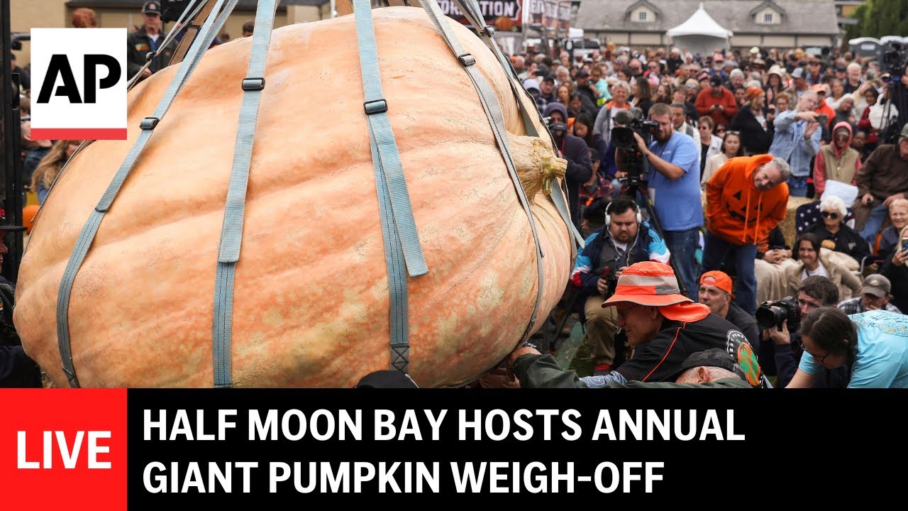 LIVE: Half Moon Bay hosts annual giant pumpkin weigh-off