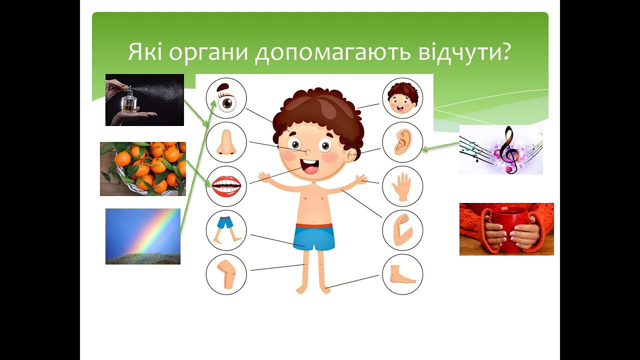 ЯДС 2 клас, Тема : 