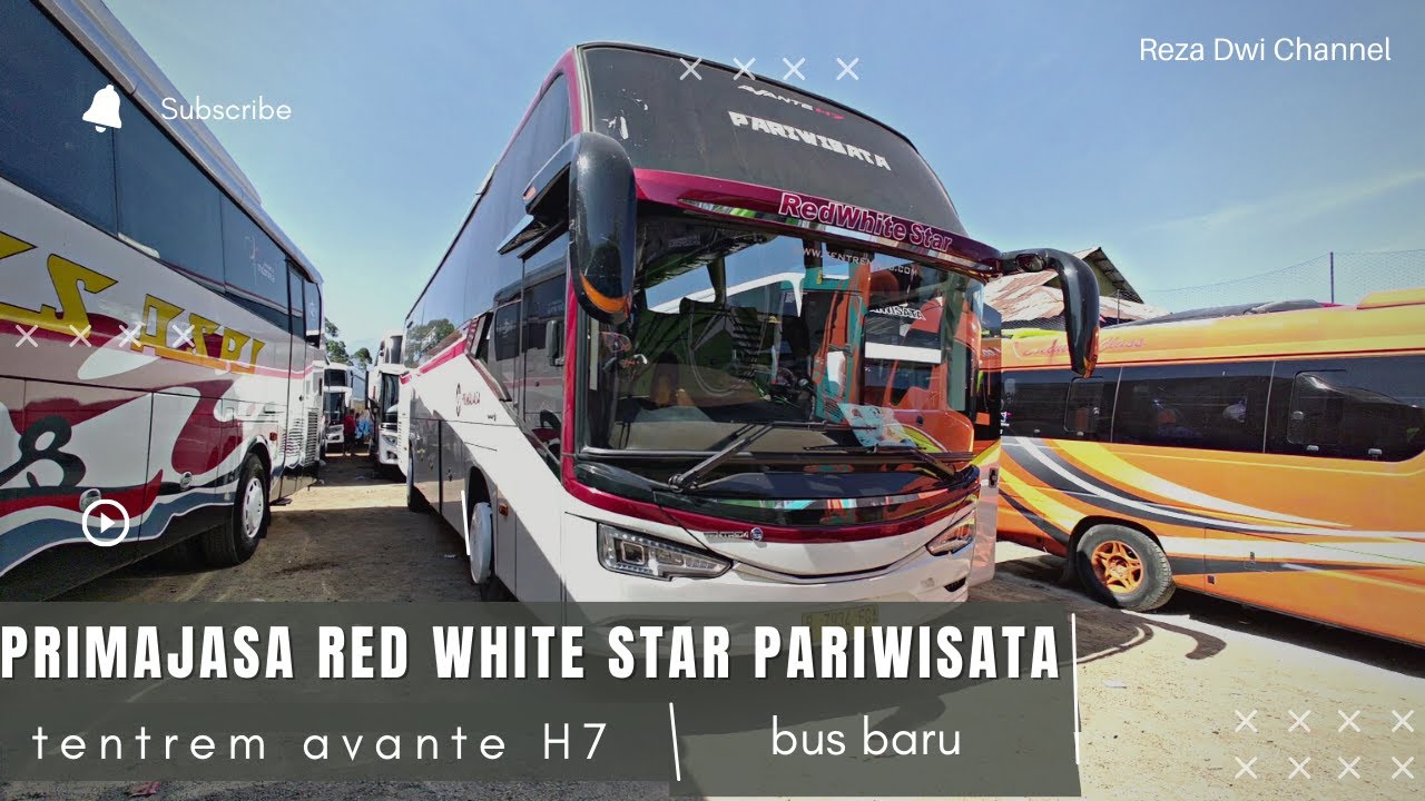 REVIEW BUS PRIMAJASA RED WHITE STAR TERBARU TENTREM AVANTE H7 NGOBROL LANGSUNG SAMA DRIVER NYA