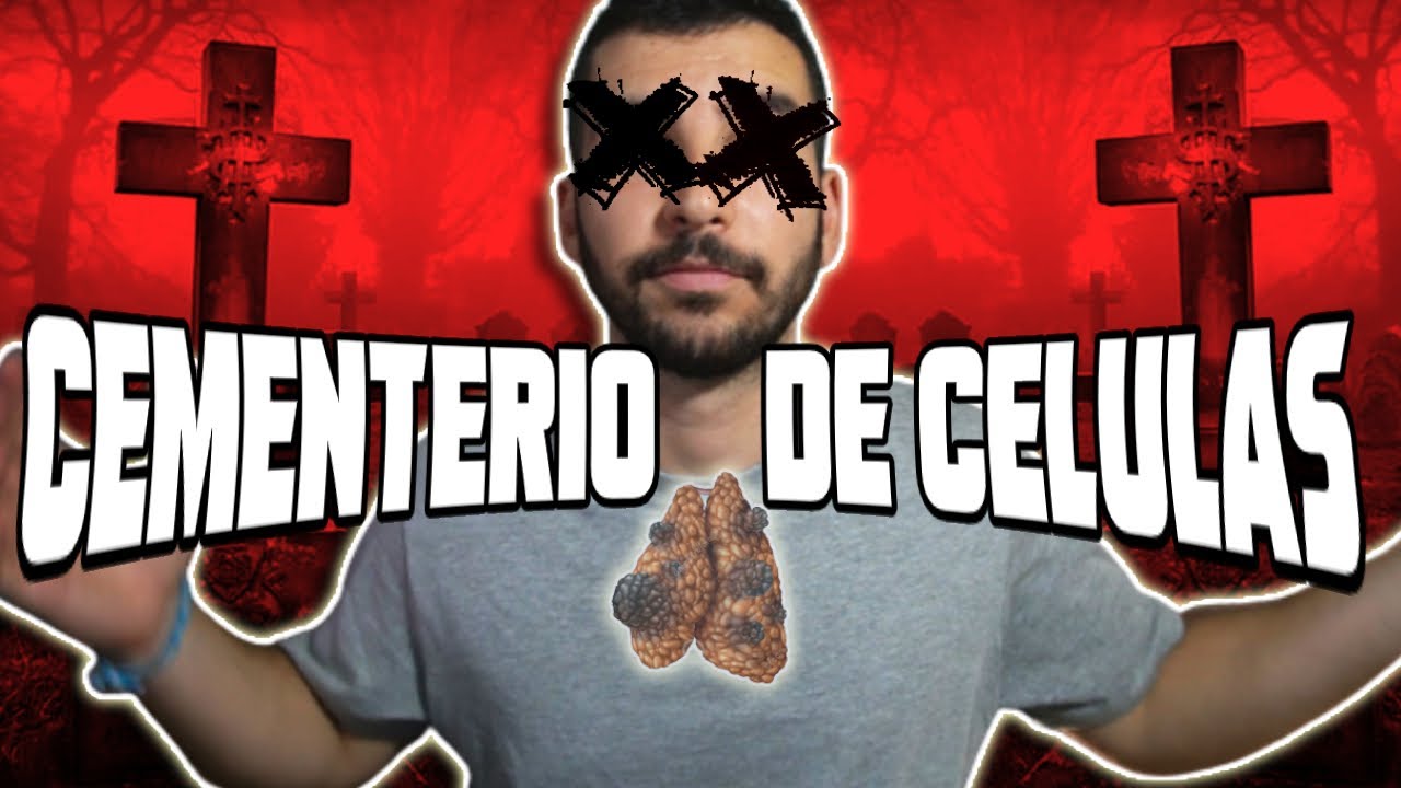 TIMO: el órgano donde más células MUEREN