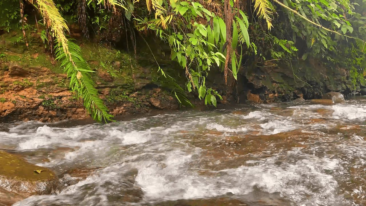 Close Your Eyes & Relax 😌 | Natural River ASMR for Deep Sleep & Anxiety Relief