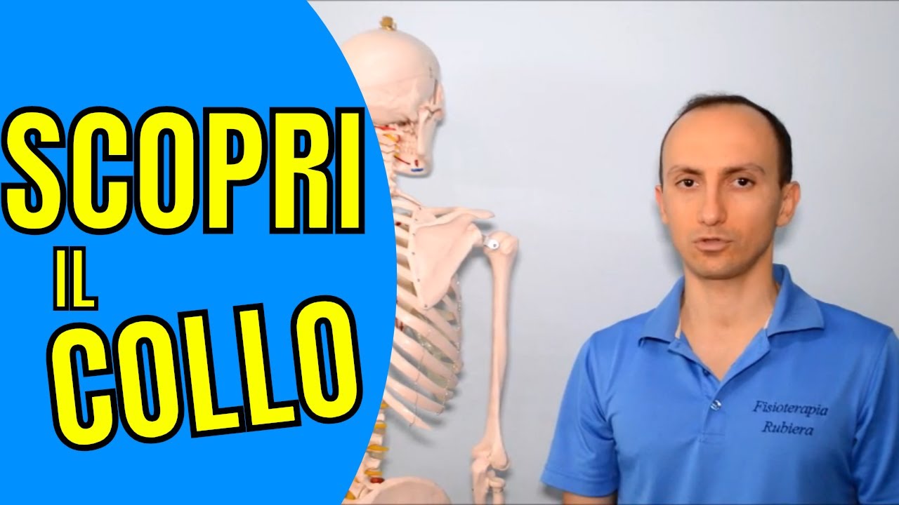 Anatomia della Colonna Vertebrale Cervicale: Scopri i Dettagli (Facile)