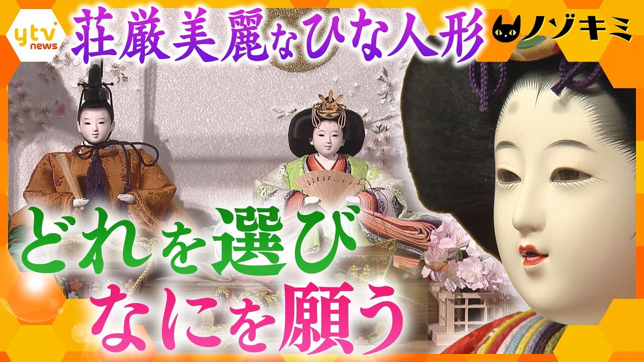 【人間観察】～ひな人形を買う家族～　夫婦で割れる意見、店員との値引き交渉、決意の購入…子や孫への“一生もの”を巡る人間模様に密着【かんさい情報ネット ten.特集/ノゾキミ】