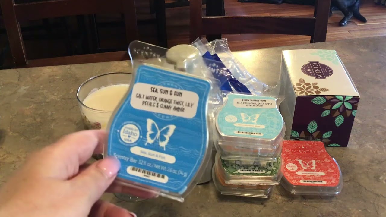 WEEKLY WAX EMPTIES 6/27/24 SCENTSY & VENDOR (With some BBMB)