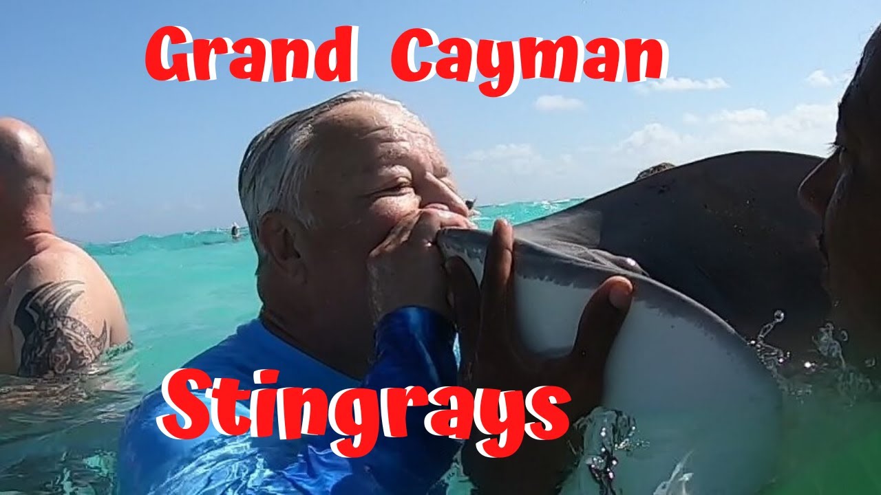 Stingray Sandbar  Star Fish Point & Lunch Grand Cayman Carnival Shore Excursion
