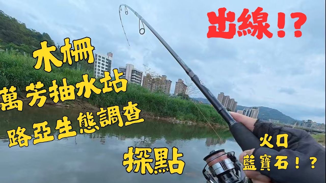 木柵萬芳水門驚見火口還是藍寶石？路亞首探新點，捲線器狂出線完全止不住！🔥