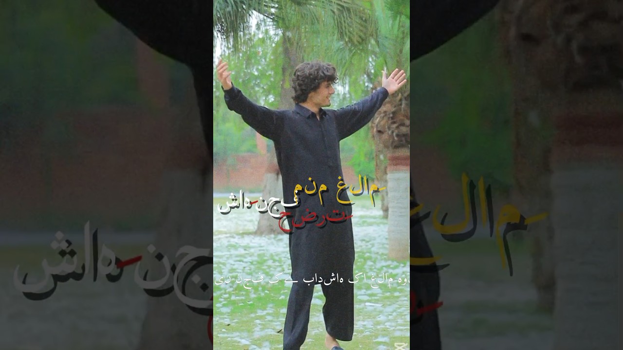 dil ali dilbar ali janan ali #islamicmusic #loveAli #iranl #foryou #viralshort #pakistan