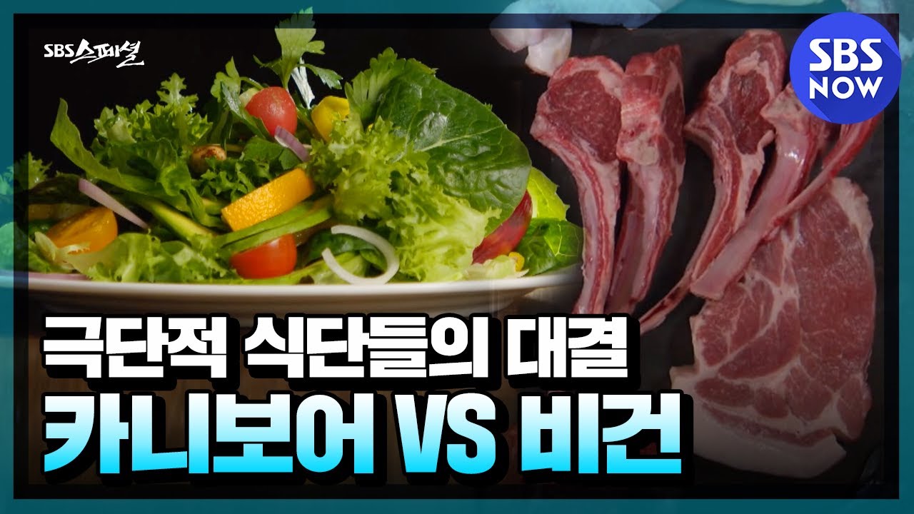 [SBS 스페셜] 요약 '밥상 위 소리 없는 전쟁, 채식 vs 육식' / 'SBS Special' | SBS NOW