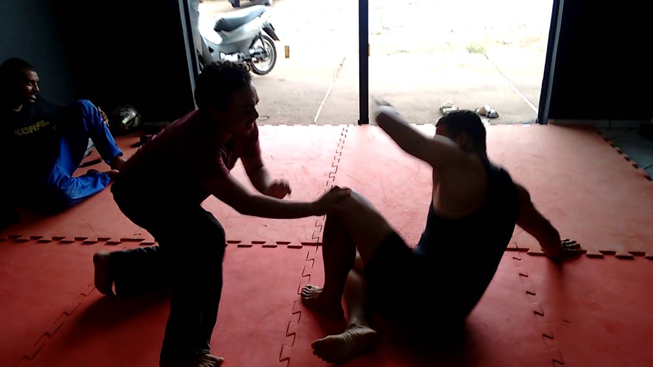 Submission com o le&atilde;o.oss