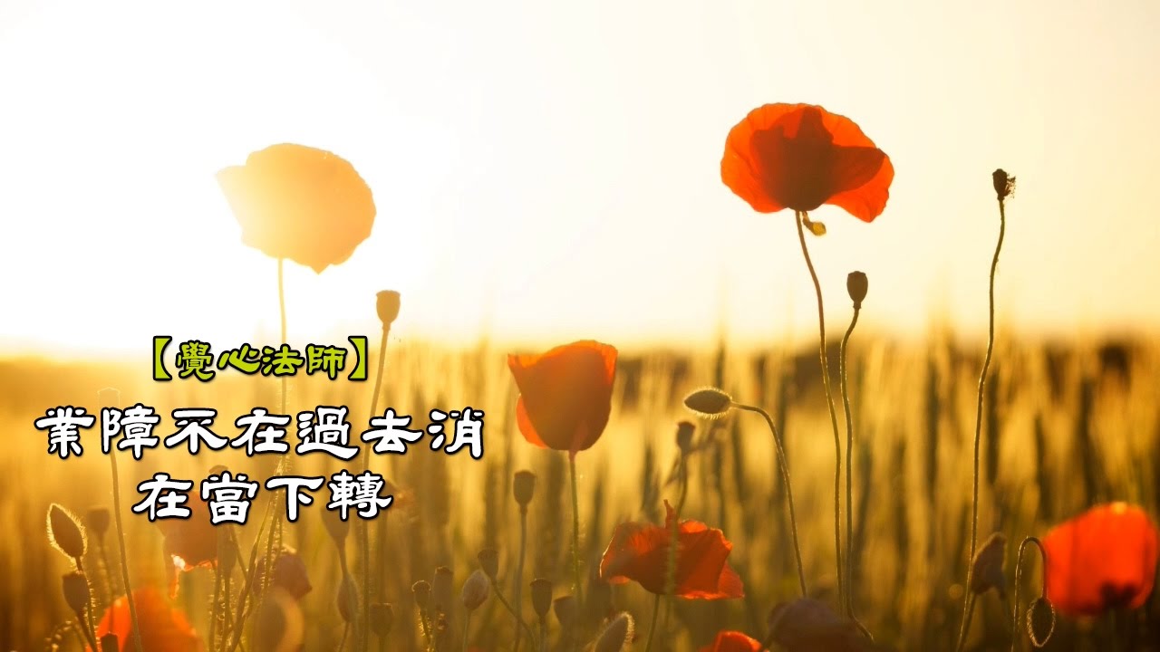 雜阿含977經(1版)4-3.業障不在過去消在當下轉[覺心法師](有字幕)