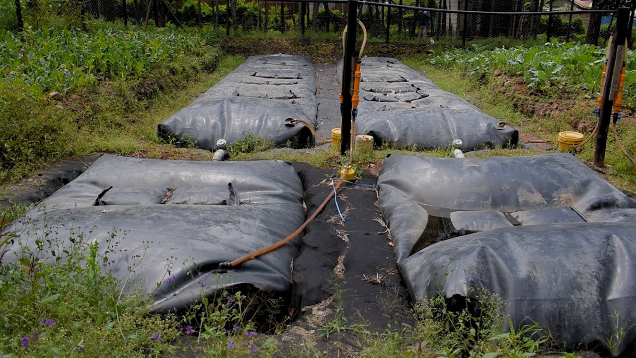 How One School Turns Waste into Energy and Water Savings