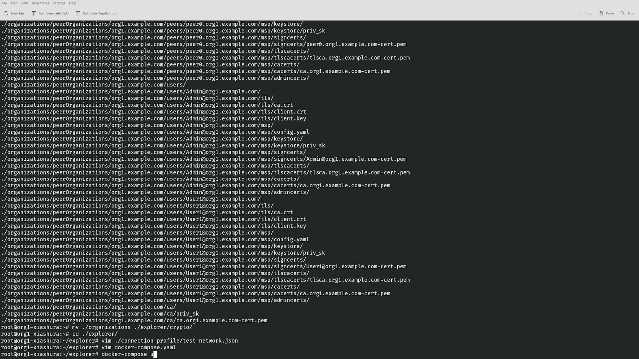 Установка блокчейн-эксплорера на базе Hyperledger Explorer