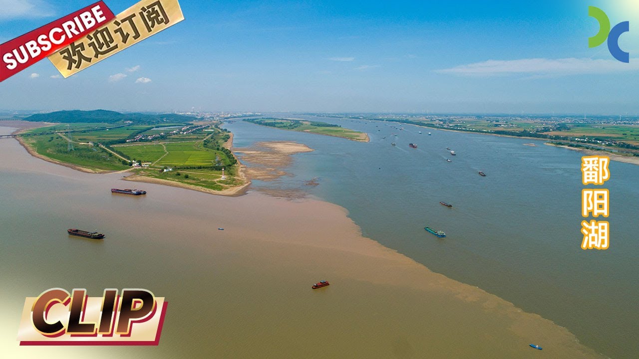 鄱阳湖是中国最大的淡水湖 这里吸引了大批候鸟来此越冬《长江之恋》【SMG纪实人文官方频道】
