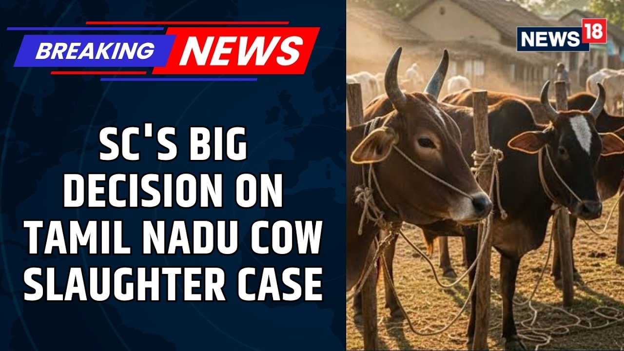 Supreme Court Stays Madras HC Ban on Cow Slaughter | Big Relief for Tamil Nadu | Key Ruling | News18