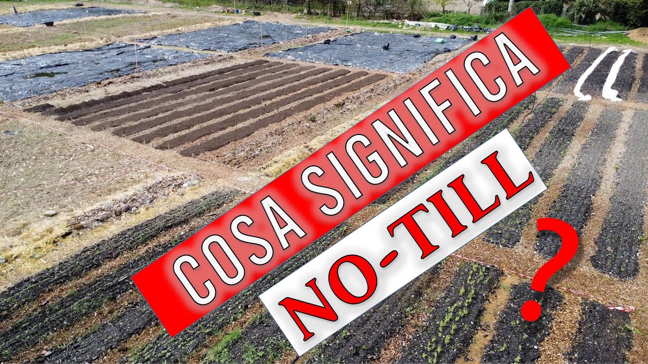 Cosa vuol dire No-Till o No-Dig?