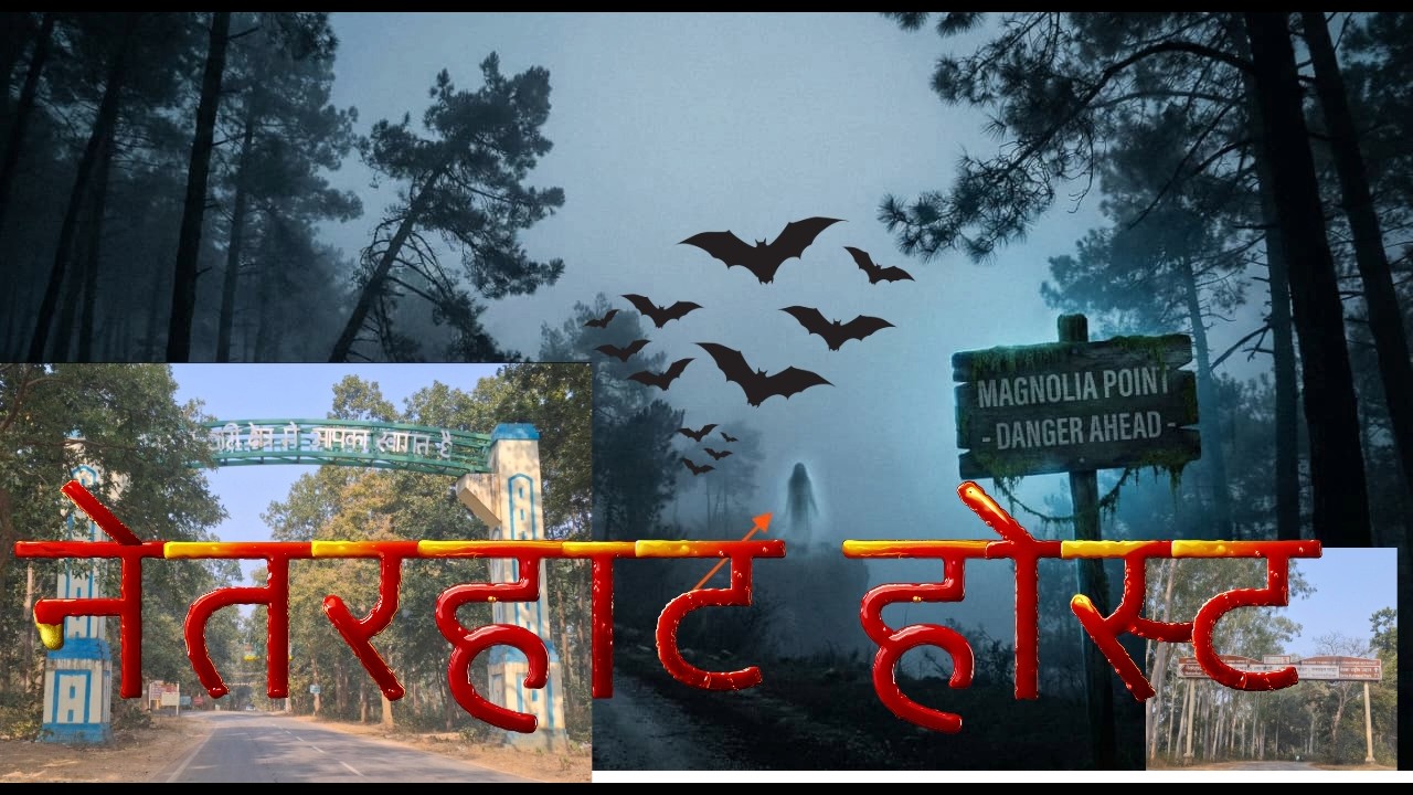 नेतरहाट का वो सच! 😱 | The Haunted Story of Magnolia Point, Netarhat jharkhand Lohardaga 
