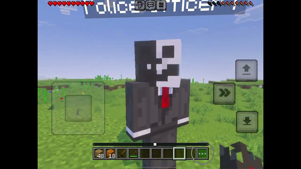 Kuzenimle 	Minecraft oynadık. 