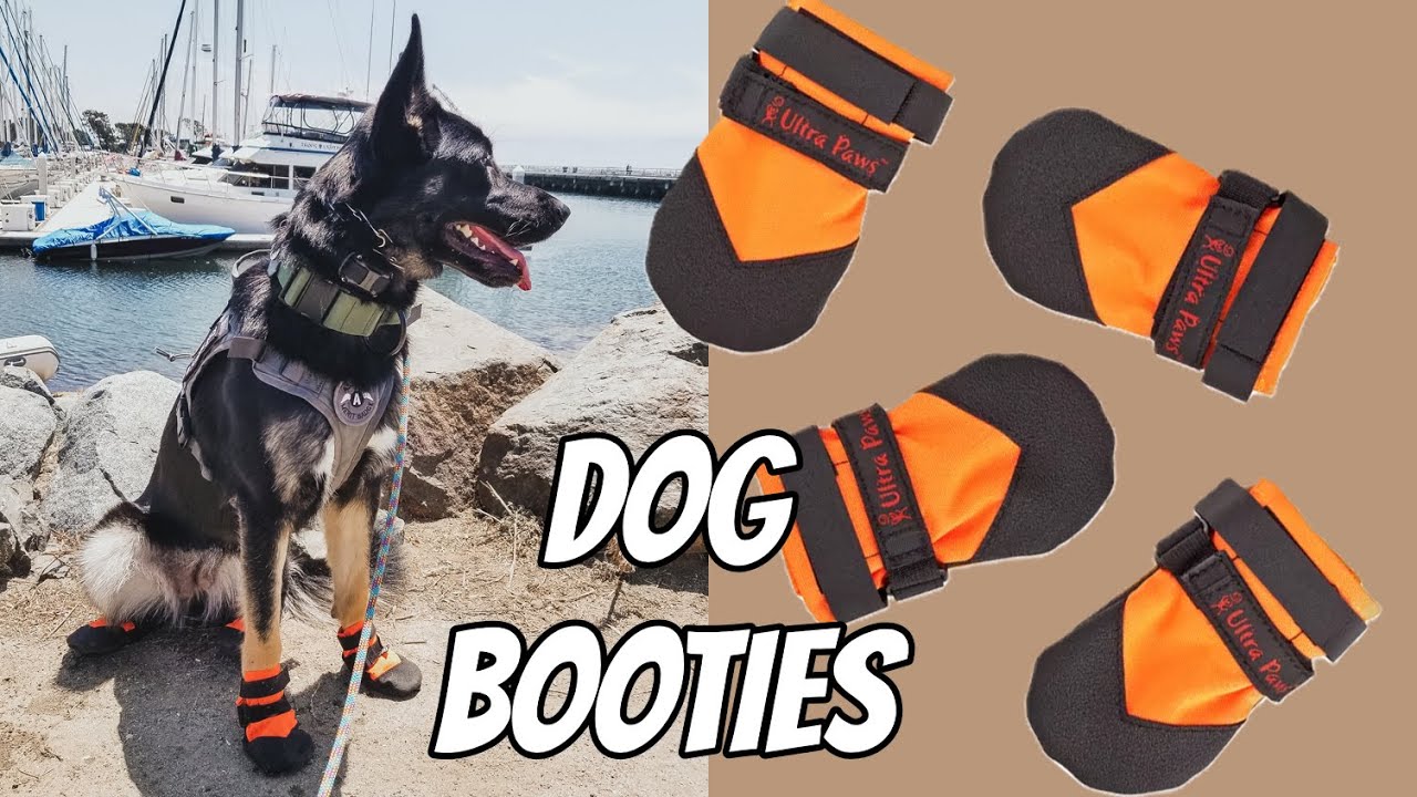 Dog Booties & Why You Need Them - Ultra Paws Dog Boots Review