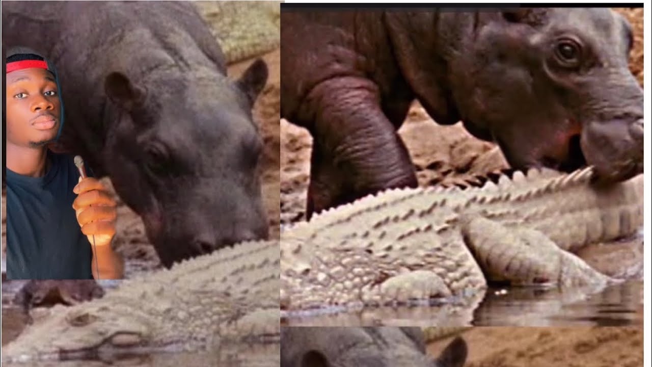 Even the Babies Have No Respect
