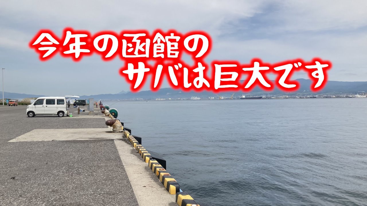 今年の函館港は、デカサバ天国！【函館 釣り サバ】