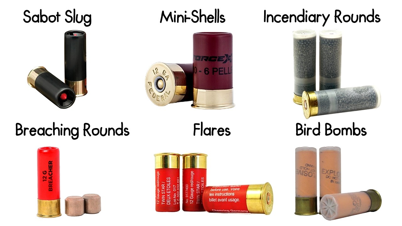 Every Shotgun Shell Variation Explained