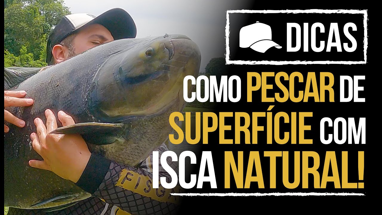 COMO PESCAR NA SUPERF&Iacute;CIE COM ISCA NATURAL! (DICA)